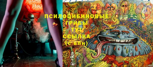 прущая мука Елабуга