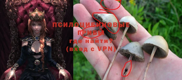прущая мука Елабуга