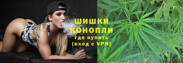 скорость Ельня